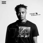 Crayon – Too Correct ft. Rema