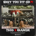 Trod – Shey You Fit Go?! Ft. Olamide