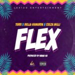 Terri – Flex ft Bella Shmurda, Ceeza Milli