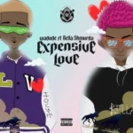 Wadude – Expensive Love Ft. Bella Shmurda