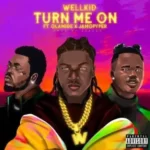 Wellkid – Turn Me On Ft. Olamide & Jamopyper