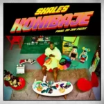 Skales – Konibaje