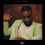 Maleek Berry – Ole Gan