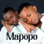 Mavokali – Mapopo (Remix) Ft. Rayvanny