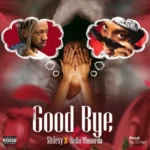 Shilexy – Goodbye Ft. Bella Shmurda