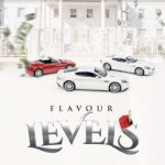 Flavour – Levels