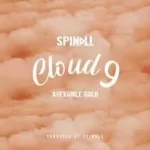 DJ Spinall – Cloud 9 Ft. Adekunle Gold