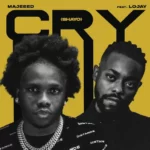 Majeeed – Cry (Shayo) Ft. Lojay