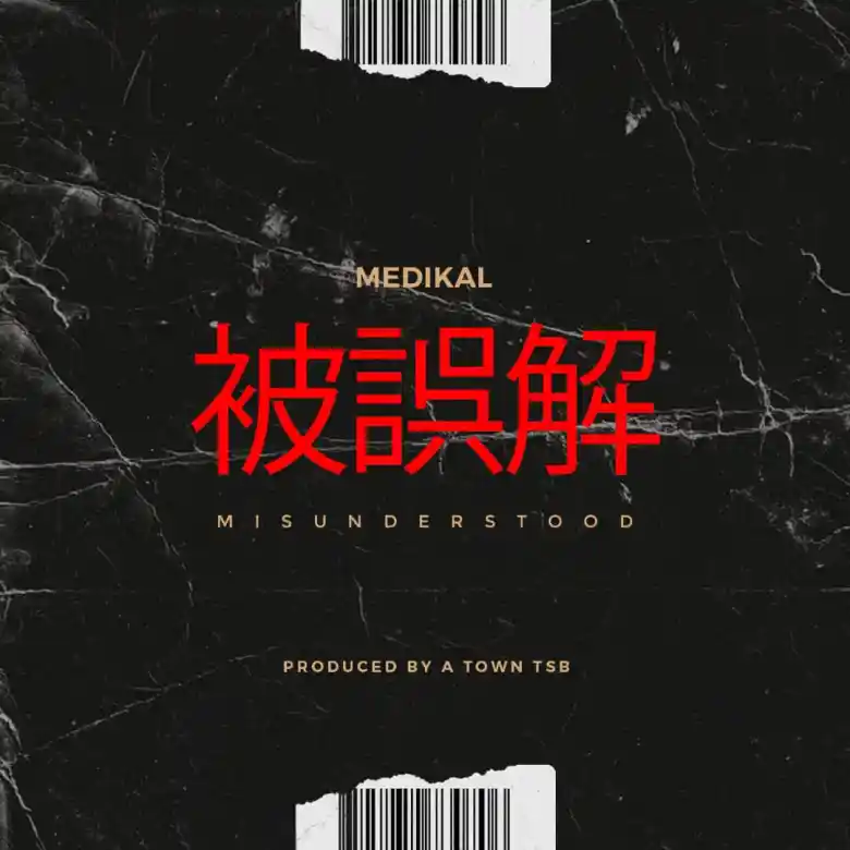 Medikal – Misunderstood